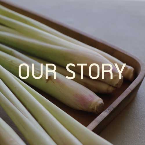 Our Story Gaya Herbal Pad
